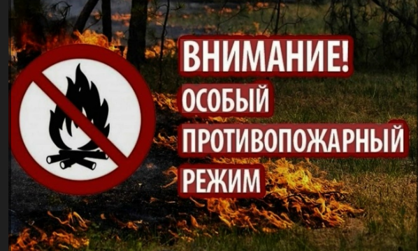Особый противопожарный режим с 25.04.2026 по 15.05.2026