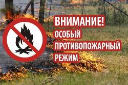 С 8 июня в Югорске введут особый противопожарный режим