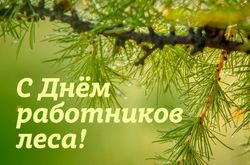 С Днём работников леса и лесоперерабатывающей промышленности!