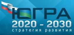 В администрации города презентовали проект окружной Стратегии-2030 
