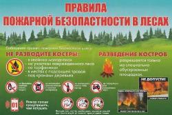 Правила пожарной безопасности на природе