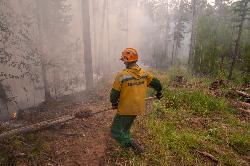 В Югре продолжает действовать режим ЧС в связи с лесными пожарами