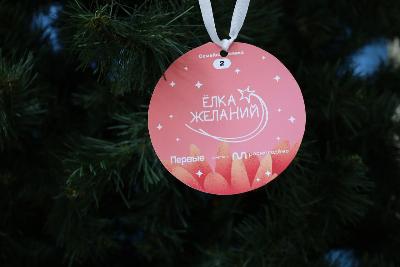 «Ёлка желаний» вновь зашагала по стране