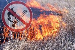 Пожарные службы работают в усиленном режиме в связи с введением в Югре особого противопожарного режима