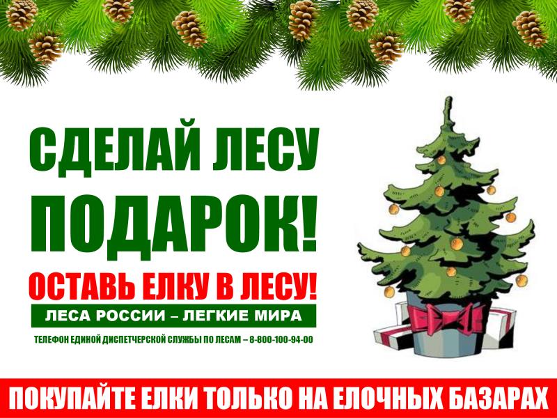 Листовка 1.jpg